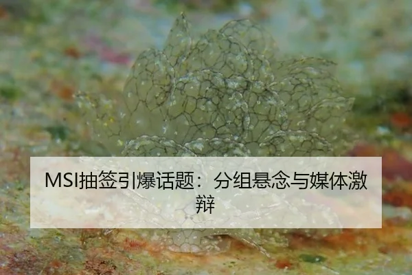 chou-qian-yin-bao-hua-ti-fen-zu-xuan-nian-yu-mei-ti-ji-bian-2-399.jpg